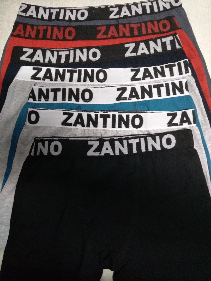 Boxers zantino clearance