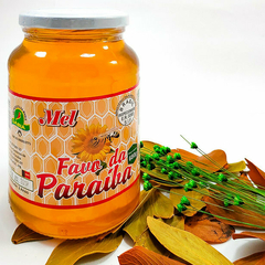 Mel de Abelha da Paraíba com Favo - 680ml