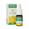 GIRALEUCA - Óleo de Girassol com Melaleuca - 100% puro e natural - Tratamento de Fungos e Micoses