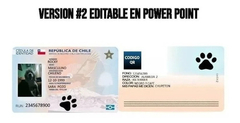 Imagen de Kit Imprimible Carnet Registro Carnet Mascotas Chile / Editables