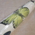 Papel de Parede Botânico - Rolo 10m X 53cm - Lizt