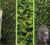 Placa Outono 50x50cm Para Jardim Vertical Artificial na internet