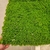 Placa Musgo 50x50cm Para Jardim Vertical Artificial - loja online