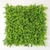 Placa Cipreste 50x50cm Para Jardim Vertical Artificial - comprar online