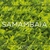 Placa Samambaia 50x50cm Para Jardim Vertical Artificial na internet