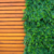 Placa Samambaia Havaiana 50x50cm Para Jardim Vertical Artificial na internet