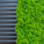 Placa Cipreste 50x50cm Para Jardim Vertical Artificial na internet