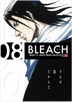 Bleach Remix Vol. 8