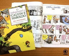 Calvin e Haroldo Vol 17: O indispensável de Calvin e Haroldo na internet