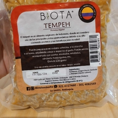 Tempeh de Garbanzo BIOTA 330gr - comprar online