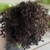 CABELO-ORG-EXT-COQ-COR 4