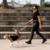 Guia Running Para Cachorros Pitaya - comprar online