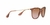 Anteojos De Sol Ray-Ban Erika Transparent Light Brown Gradient Brown - tienda online