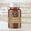 TRIBULUS TERRESTRIS 500MG 60 CÁPSULAS