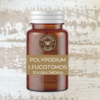 POLIPODIUM LEUCOTOMOS (FILTRO SOLAR EM CÁPSULAS) 240MG 30 CÁPSULAS