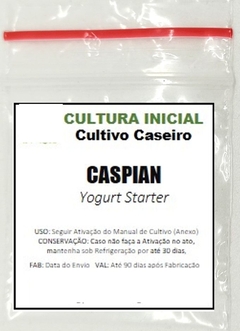 CASPIAN - Iogurte Infinito - Frete Grátis - comprar online
