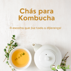 Imagem do CHÁ VERDE - KOMBUCHA