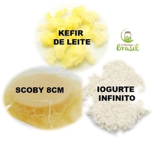 3 em 1: Kefir de Leite + Iogurte Infinito + Scoby