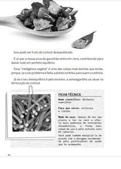 E-book PDF: De A a Z - A Enciclopédia das Plantas Medicinais - Jolivi na internet