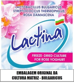 BULGARICUS - Iogurte Infinito - Original - Importado - Probióticos Brasil