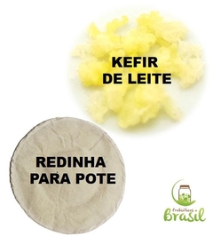 KEFIR DE LEITE + REDINHA PARA POTE