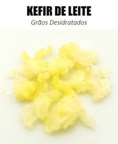 4 em 1: Kefir de Leite + Água + Scoby + Iogurte - comprar online