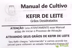 KEFIR DE LEITE – Grãos de Kefir de Leite - FRETE GRÁTIS na internet