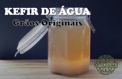 KEFIR DE LEITE + KEFIR DE ÁGUA - Frete Grátis - Probióticos Brasil