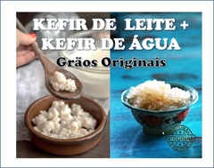 KEFIR DE LEITE + KEFIR DE ÁGUA - Frete Grátis - comprar online