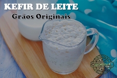 KEFIR DE LEITE – Grãos de Kefir de Leite - loja online