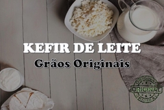 KEFIR DE LEITE – Grãos de Kefir de Leite - Probióticos Brasil