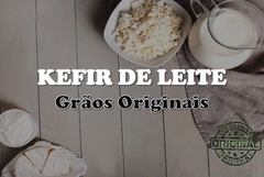 KEFIR DE LEITE – Grãos de Kefir de Leite - FRETE GRÁTIS - Probióticos Brasil