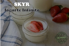 SKYR - Iogurte Infinito - Original - Importado