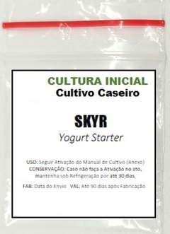 SKYR - Iogurte Infinito - Frete Grátis - comprar online