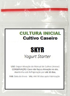 SKYR - Iogurte Infinito - Original - Importado - comprar online