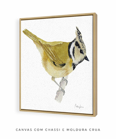 Quadro Decorativo Pássaro em Aquarela Chapim-de-crista na internet