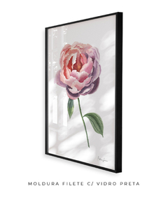 Quadro Decorativo Peônia Rosa - Betania Sensini | Arte e Aquarela