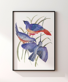 Quadro Decorativo Três Pássaros Azuis em Aquarela - comprar online