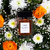 Perfume - Flor de naranjo & Bergamota - Blaque Oficial