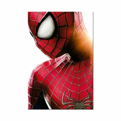 Placa Decorativa Marvel Homem Aranha