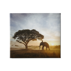 Quadro Decorativo Elefante na Savana na internet