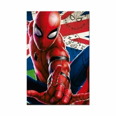 Placa Decorativa Marvel Homem Aranha