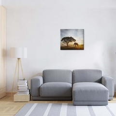 Quadro Decorativo Elefante na Savana