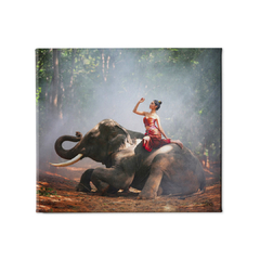 Quadro Decorativo Elefante 1 - comprar online