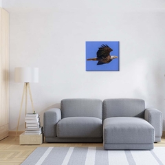 Imagem do Quadro Decorativo Águia em Seu Voo 1