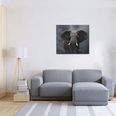 Quadro Decorativo Elefante - comprar online