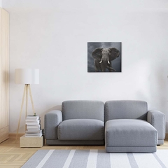 Quadro Decorativo Elefante - comprar online