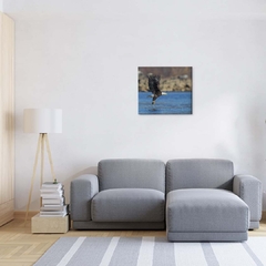 Quadro Decorativo Águia em Seu Voo - loja online