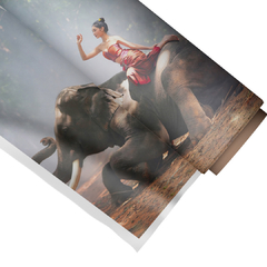 Imagem do Quadro Decorativo Elefante 1