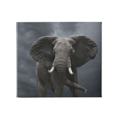 Quadro Decorativo Elefante - SigmaDecor